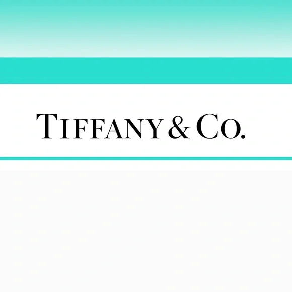 Tiffany & Co. Exquisite Elsa Peretti Ballpoint Pen NWOT - Picture 2 of 14